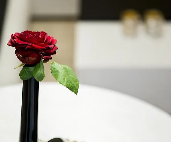 Eu - Wood - Angielska Grobla Old Town Sw Barbary 12